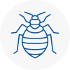 Bed Bug Extermination In Stoke Gifford